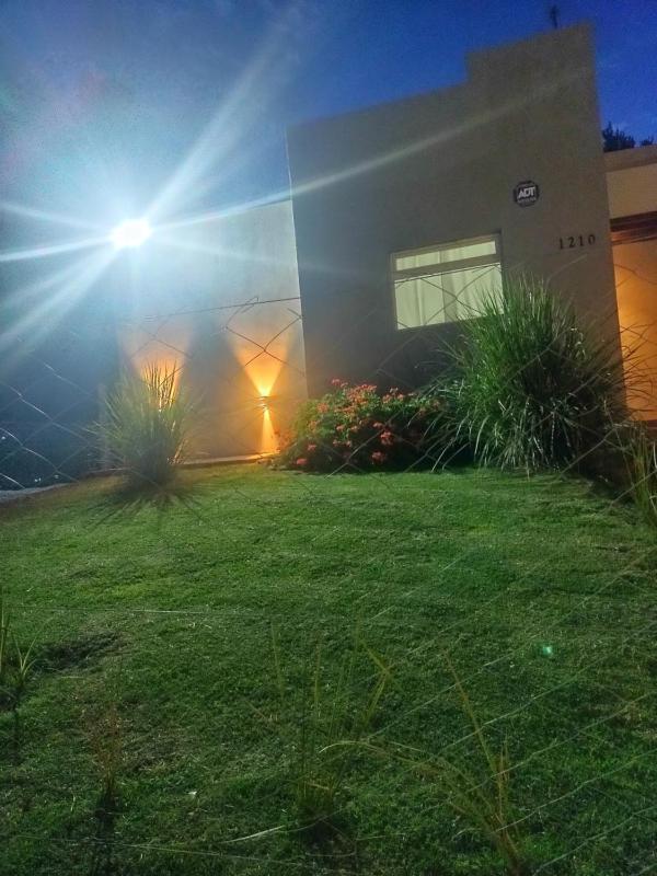 Los nogales - image 28