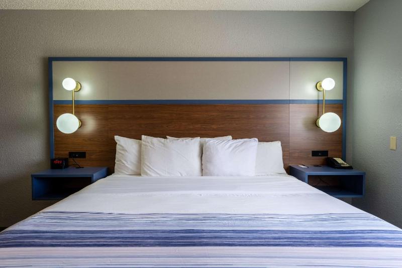 King Room - Non-Smoking image 1