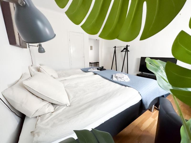 Deluxe Apartment image 1