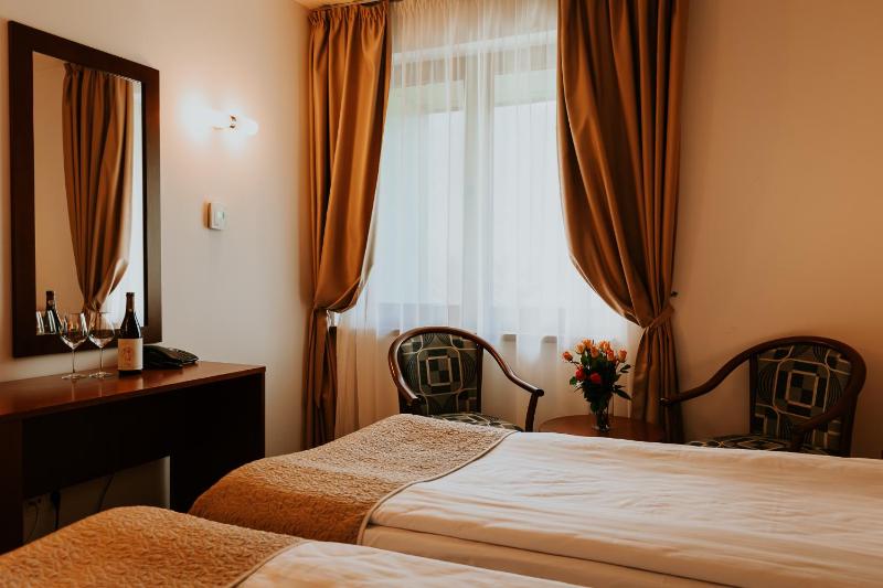 Twin Room with Spa Access image 4