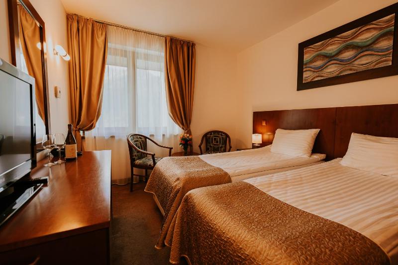 Twin Room with Spa Access image 1