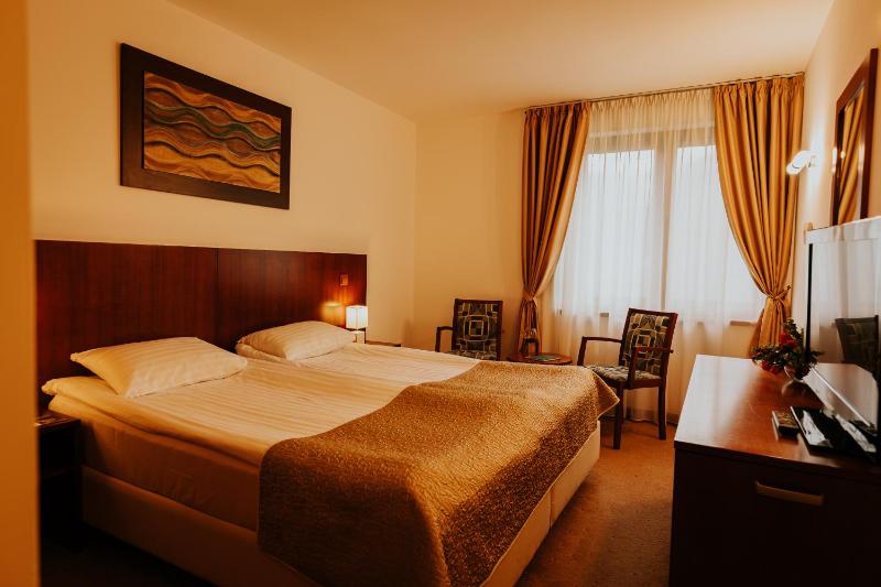 Double Room with Spa Access image 1