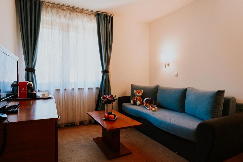 Suite with Spa Access image 3