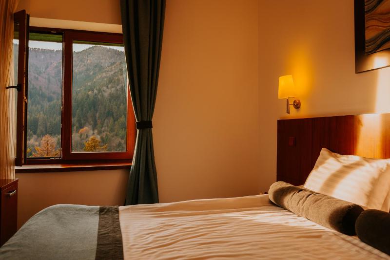 Suite with Spa Access image 4