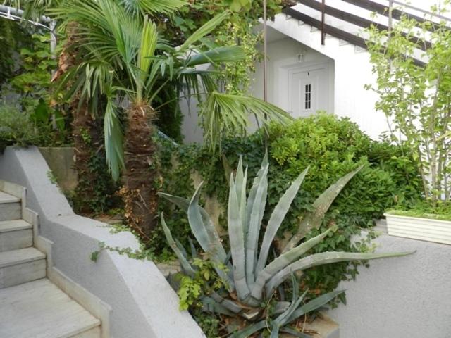 Apartments Villa Ana - image 11