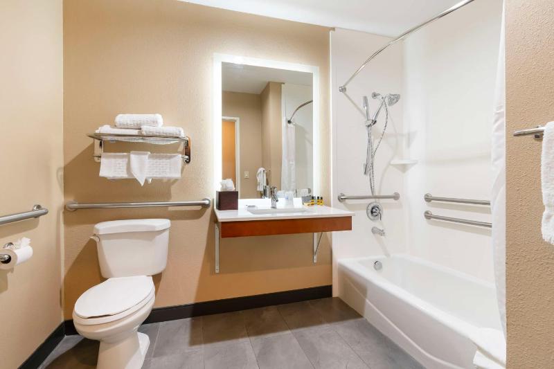 King Room with Mobility Accessible Roll-In Shower image 3