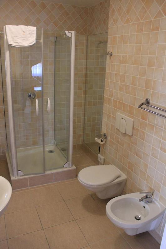 Suite Apartment image 4
