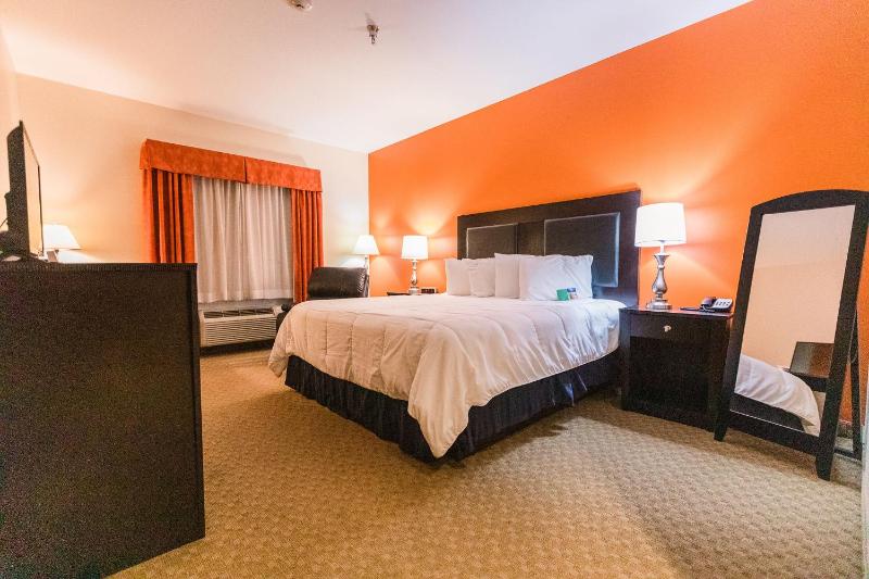 King Room - Non-Smoking