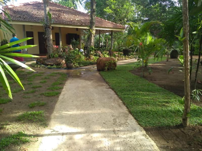 Ayurveda Villa 386 - image 16