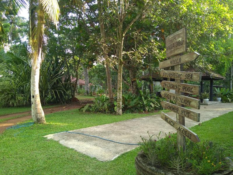 Ayurveda Villa 386 - image 11