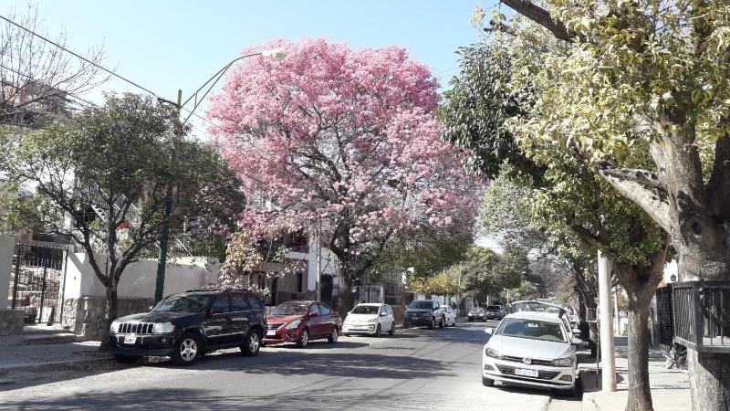 Departamentos Av. Uruguay - Salta - image 7