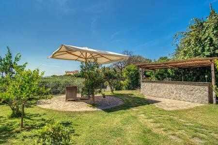 Campanella Villas Gardens Pool Superview - image 10