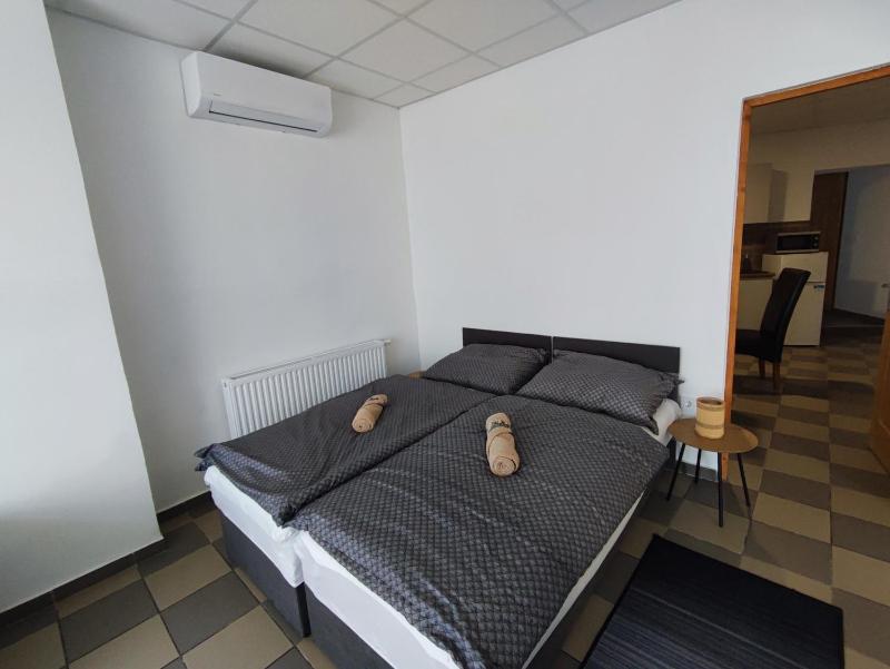 Apartment with Terrace image 3