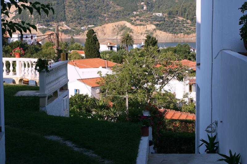 Albatros - image 12