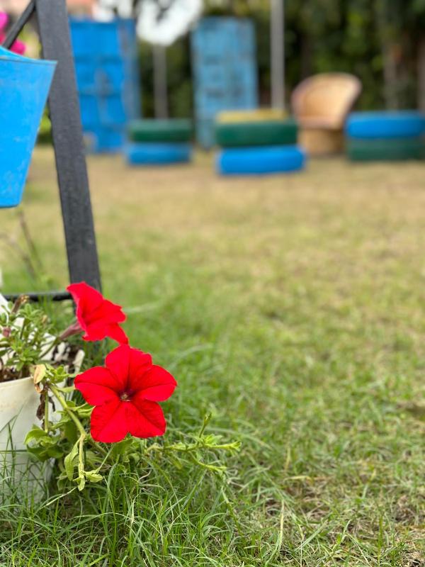 The Rukmani Homestay & Garden - image 7