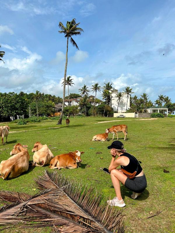 Wake Up Weligama - image 6