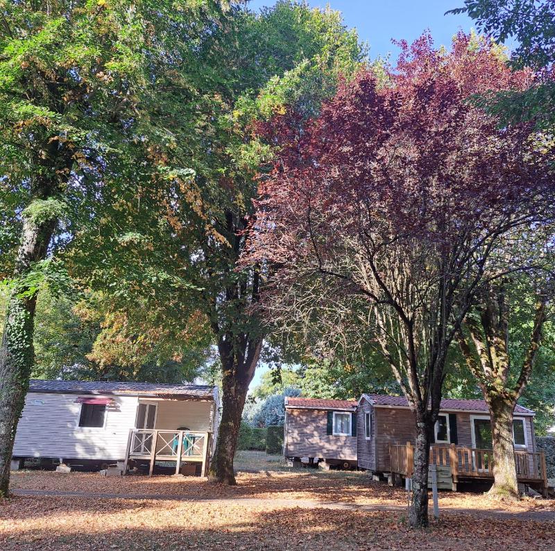 Mobile Home image 1