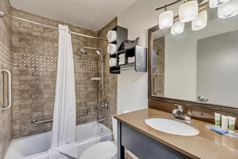 One-Bedroom King Suite with Sofa Bed - Non-Smoking image 3
