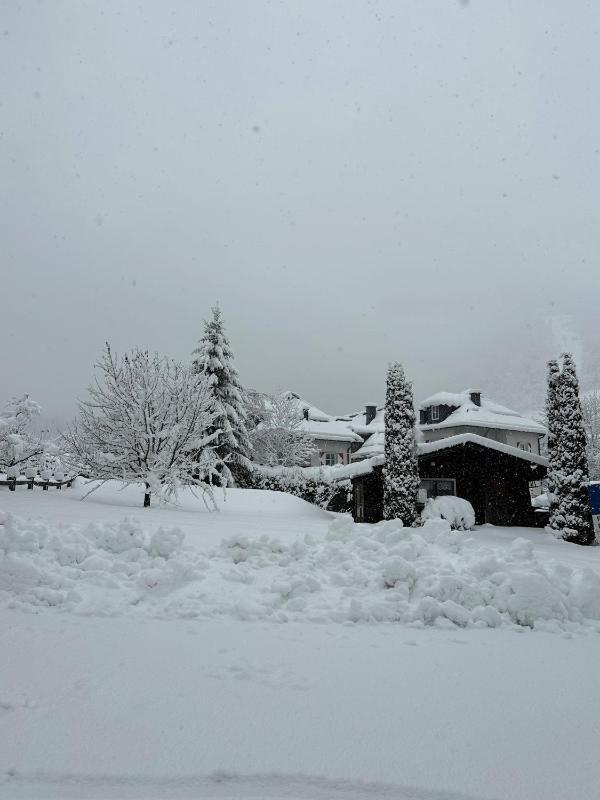 Double Room with Mountain View image 2