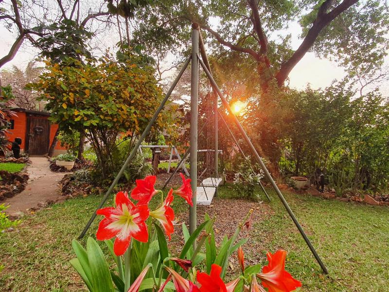 Victoria Falls Backpackers Lodge- Camp Sites - image 10