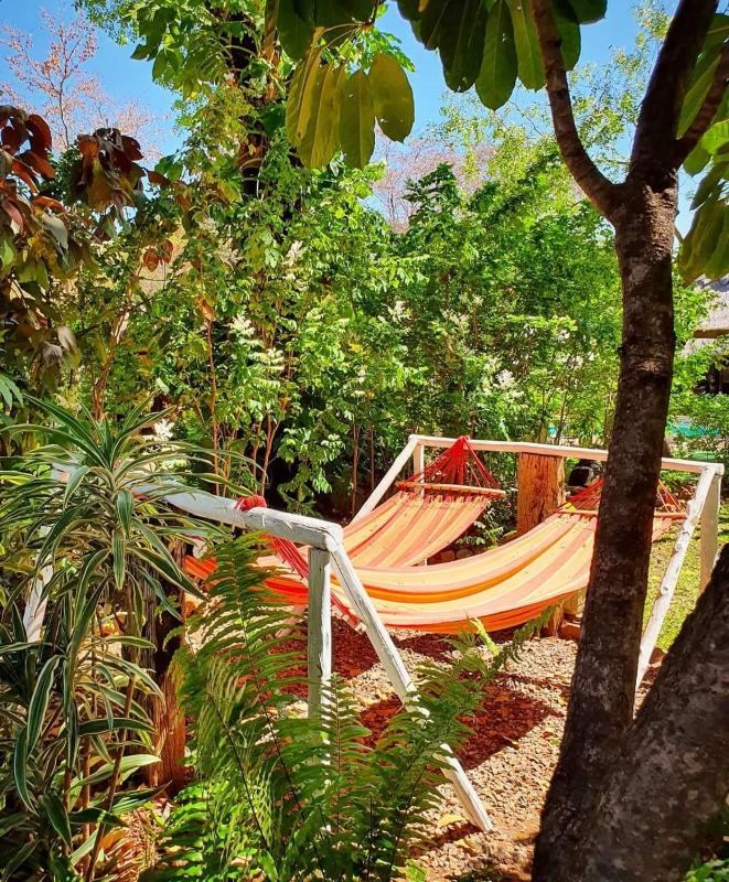 Victoria Falls Backpackers Lodge- Camp Sites - image 9