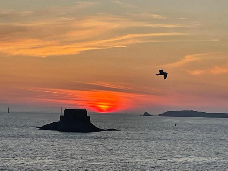 Standard Queen Room image 1