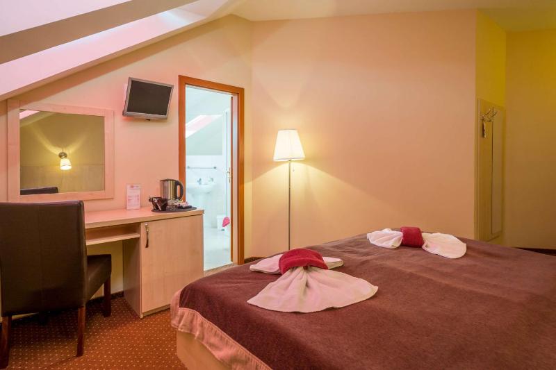 Prague Centre Plaza Hotel - image 3