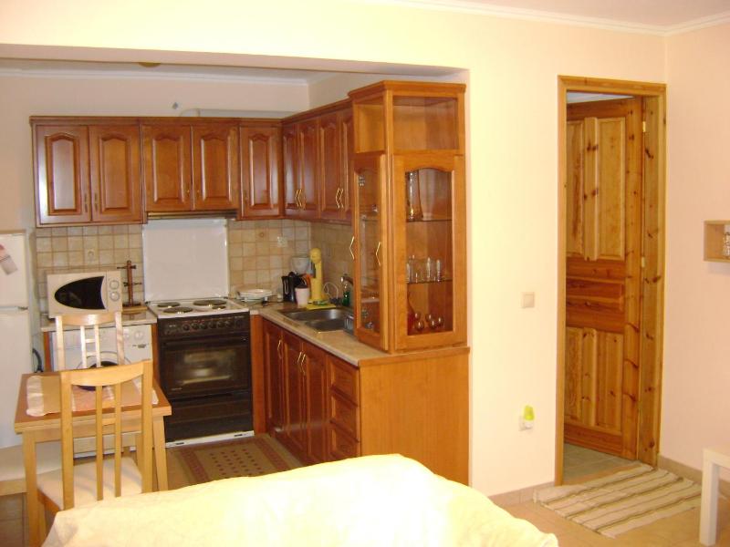 One-Bedroom Apartment image 2
