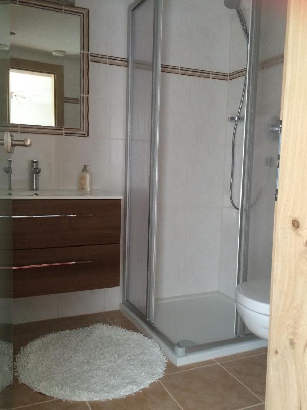 One-Bedroom Apartment image 3
