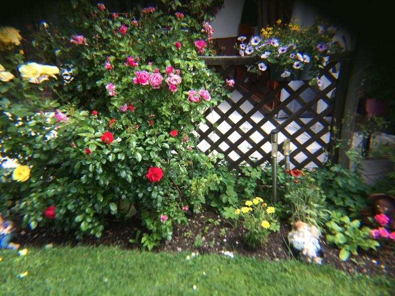 Studio with Garden View image 3
