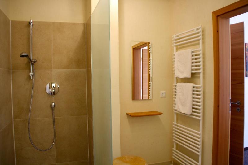 One-Bedroom Apartment image 2