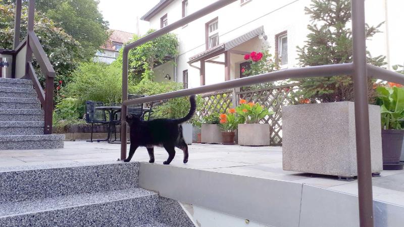 Ferienwohnung Im Dichterviertel - image 26