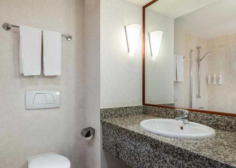 Deluxe King Room image 4