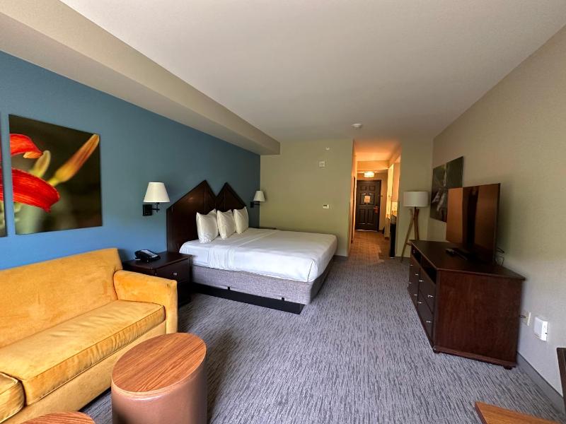 Suite image 2