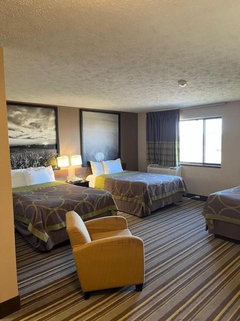 1 Queen and 2 Double Beds, Studio Suite, Non-Smoking image 4