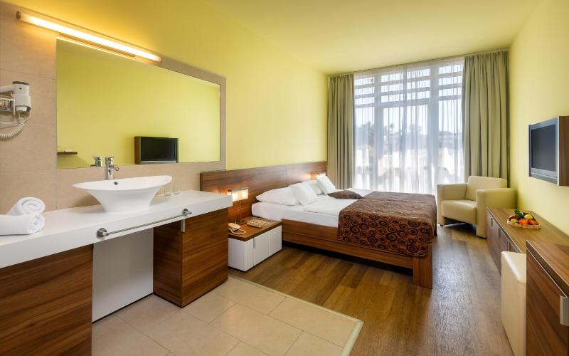 Double or Twin Room image 4