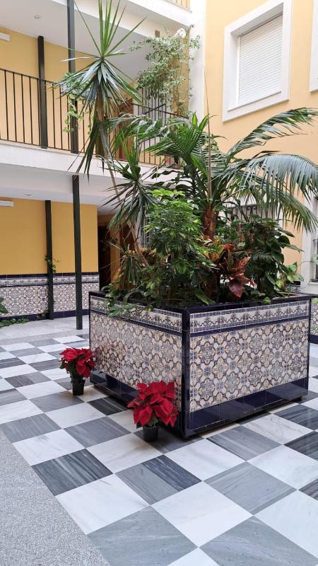 Centro de Sanlúcar La Plata 23 - image 8