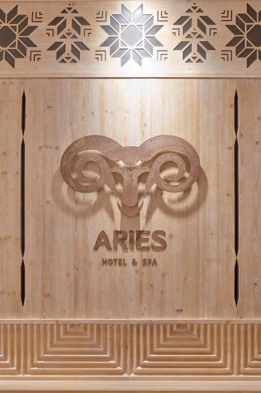 Aries Hotel & SPA Szczyrk - image 25