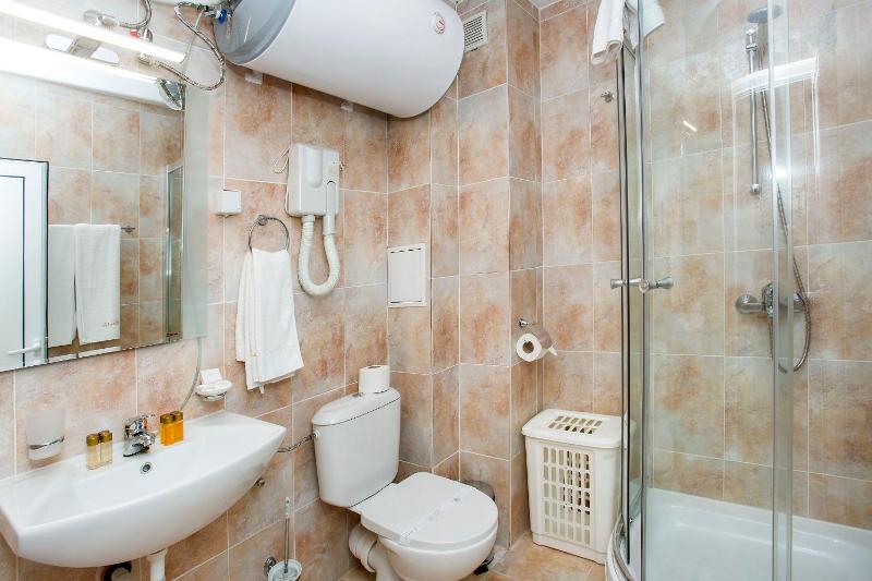One-Bedroom Apartment image 2