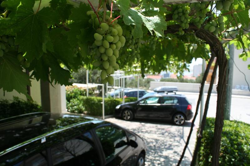 Apartments Rados - image 18