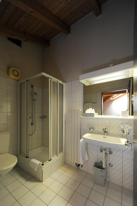 Budget Single Room image 2