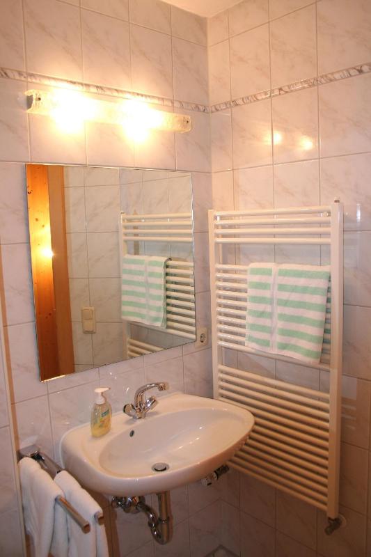 One-Room Apartment (2-3 adults) image 4