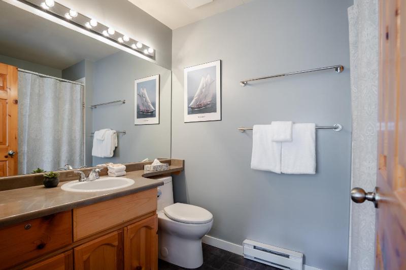 2BR in Valhalla Whistler Village Complex Hot Tub Gas Fireplace Parking Gondola Shuttle - image 27