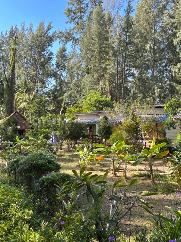 Hippy Trail Beach Village Bungalows - image 24
