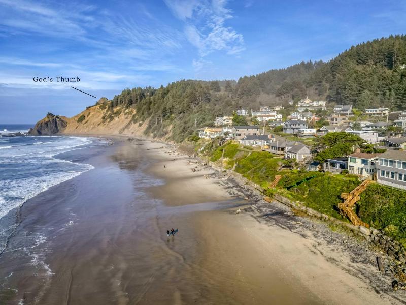 Salal Bluff - image 8