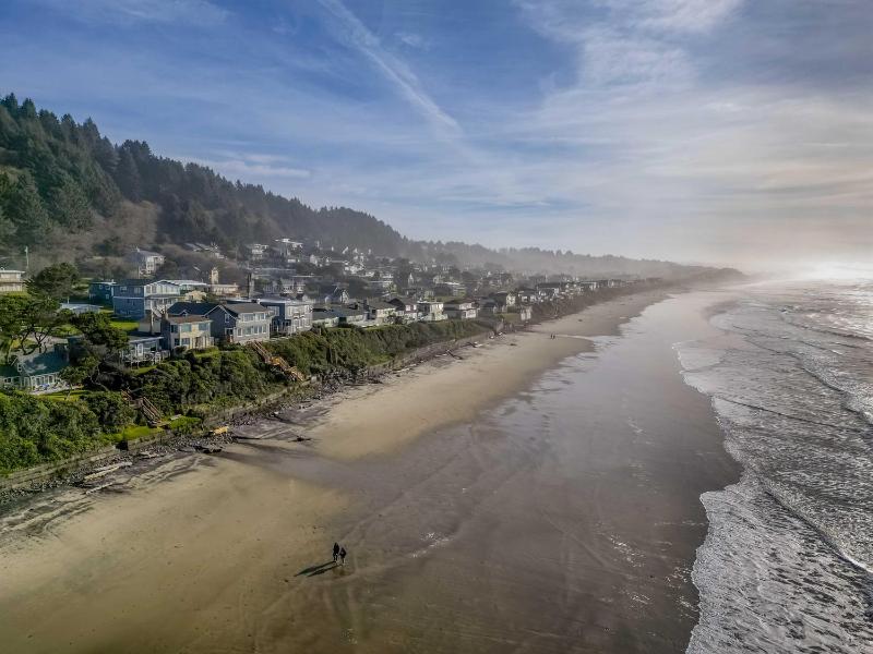 Salal Bluff - image 4