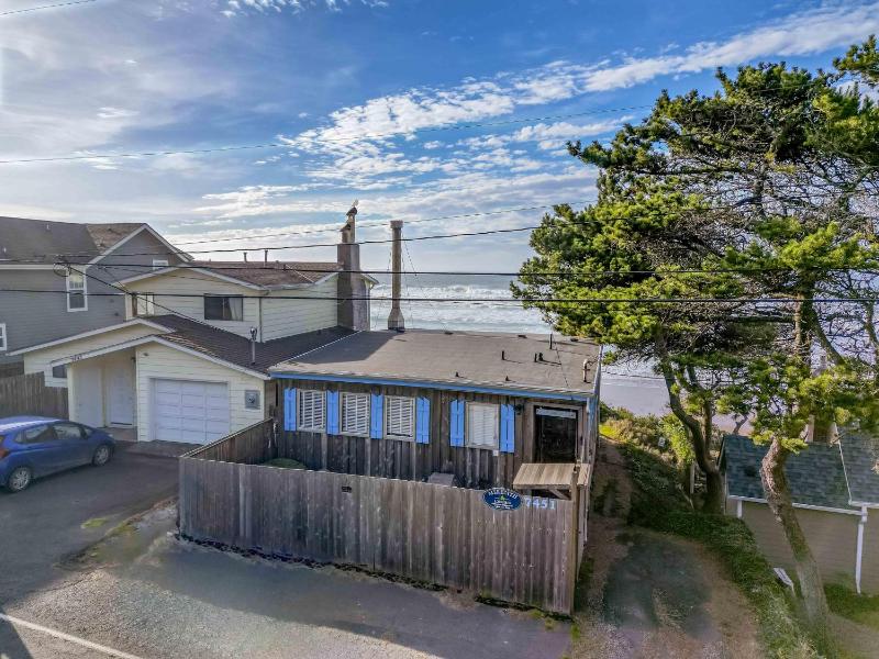 Salal Bluff - image 15