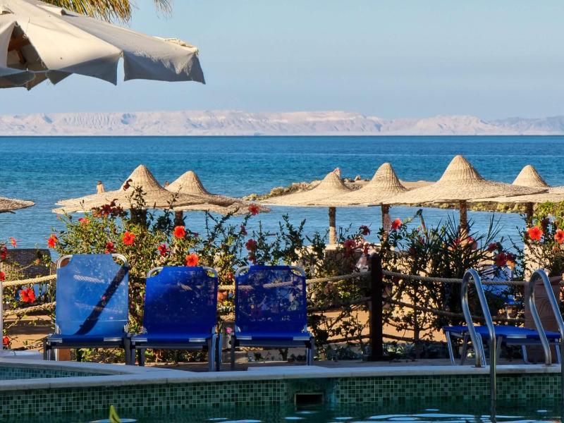 Studio  Side Sea View  Pool  Turtles Beach - image 18