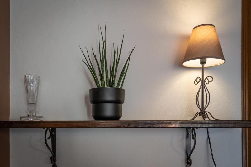 Welcome to Casa di Lucca - Your Friendly Retreat with Terrace and Parking - image 18