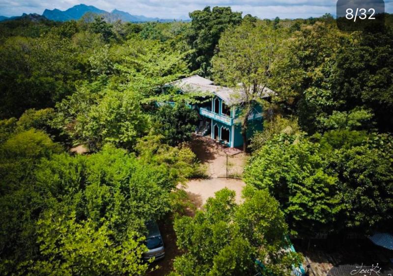The Green Heaven Resort - image 1